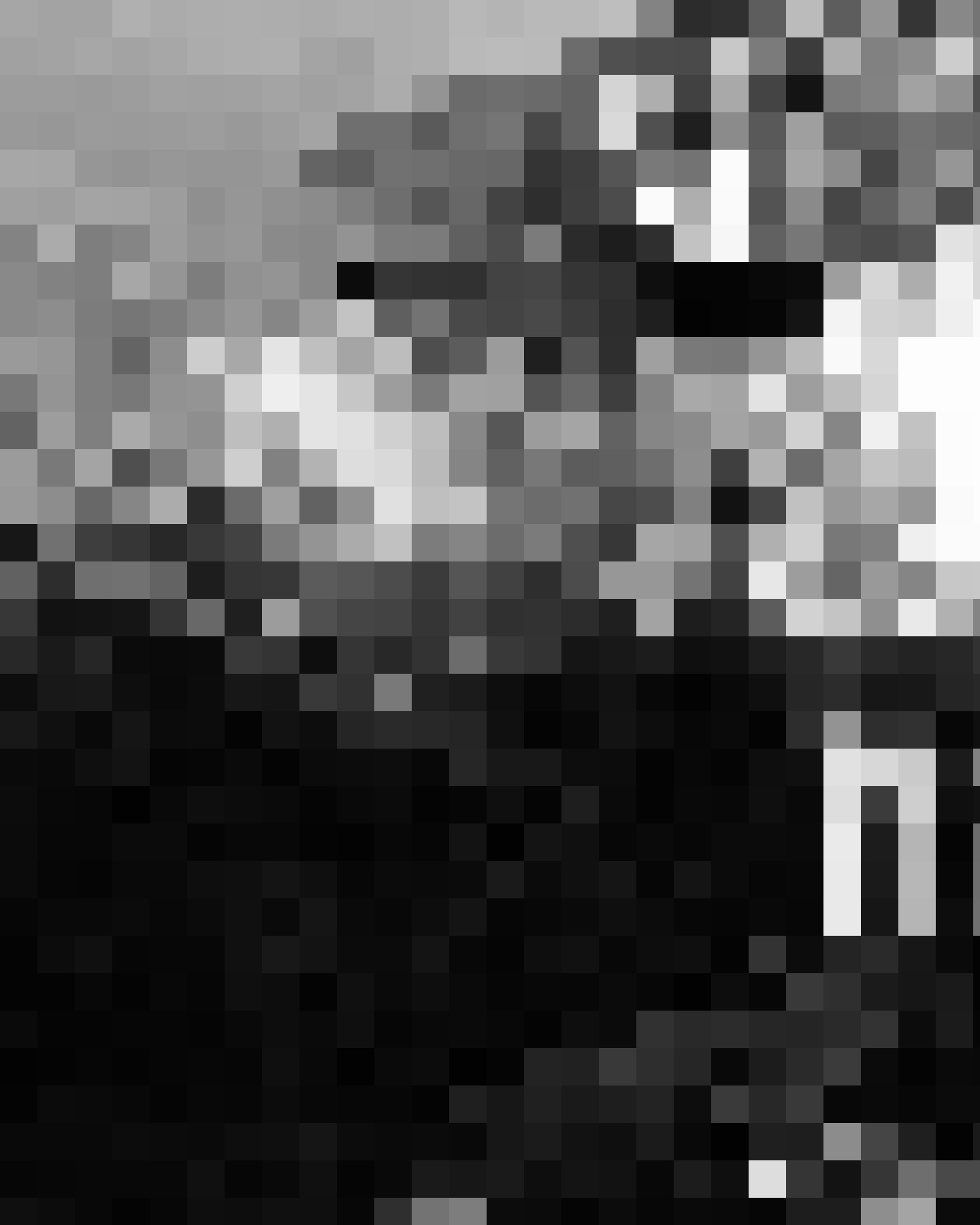 Dan Murray profile picture